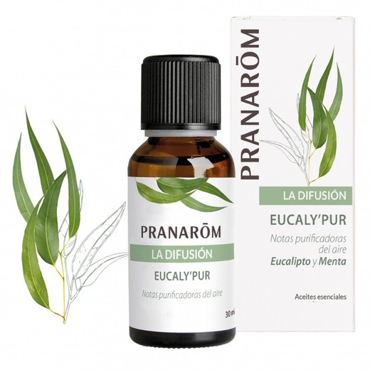 Difusion Eucaly’Pur - 30 ml