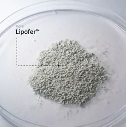 ALGEMICA FE3 HIERRO + VITAMINA C 40 CÁPS