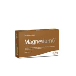 Magnesium6 20 comprimidos