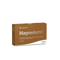 Magnesium6 60 comprimidos